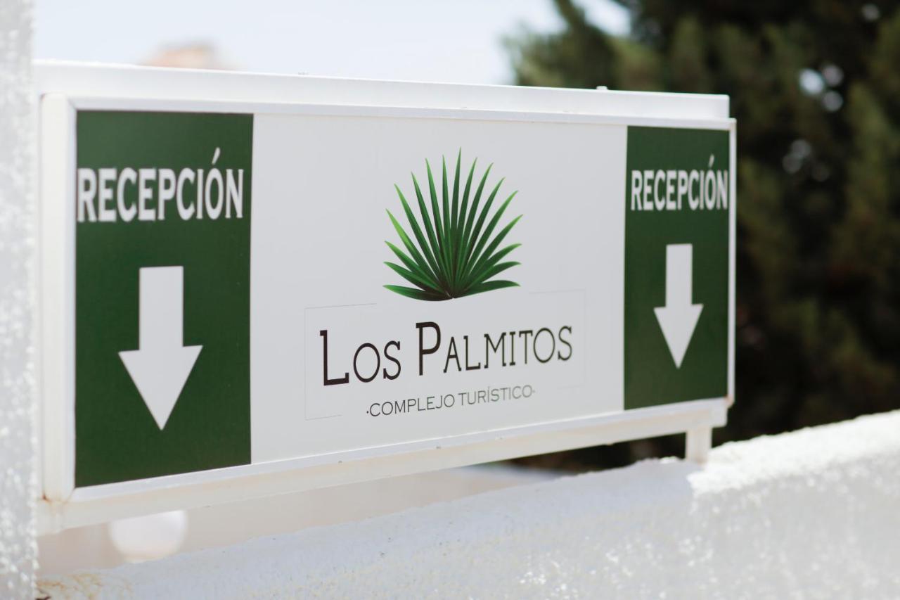 Los Palmitos Peñíscola Εξωτερικό φωτογραφία