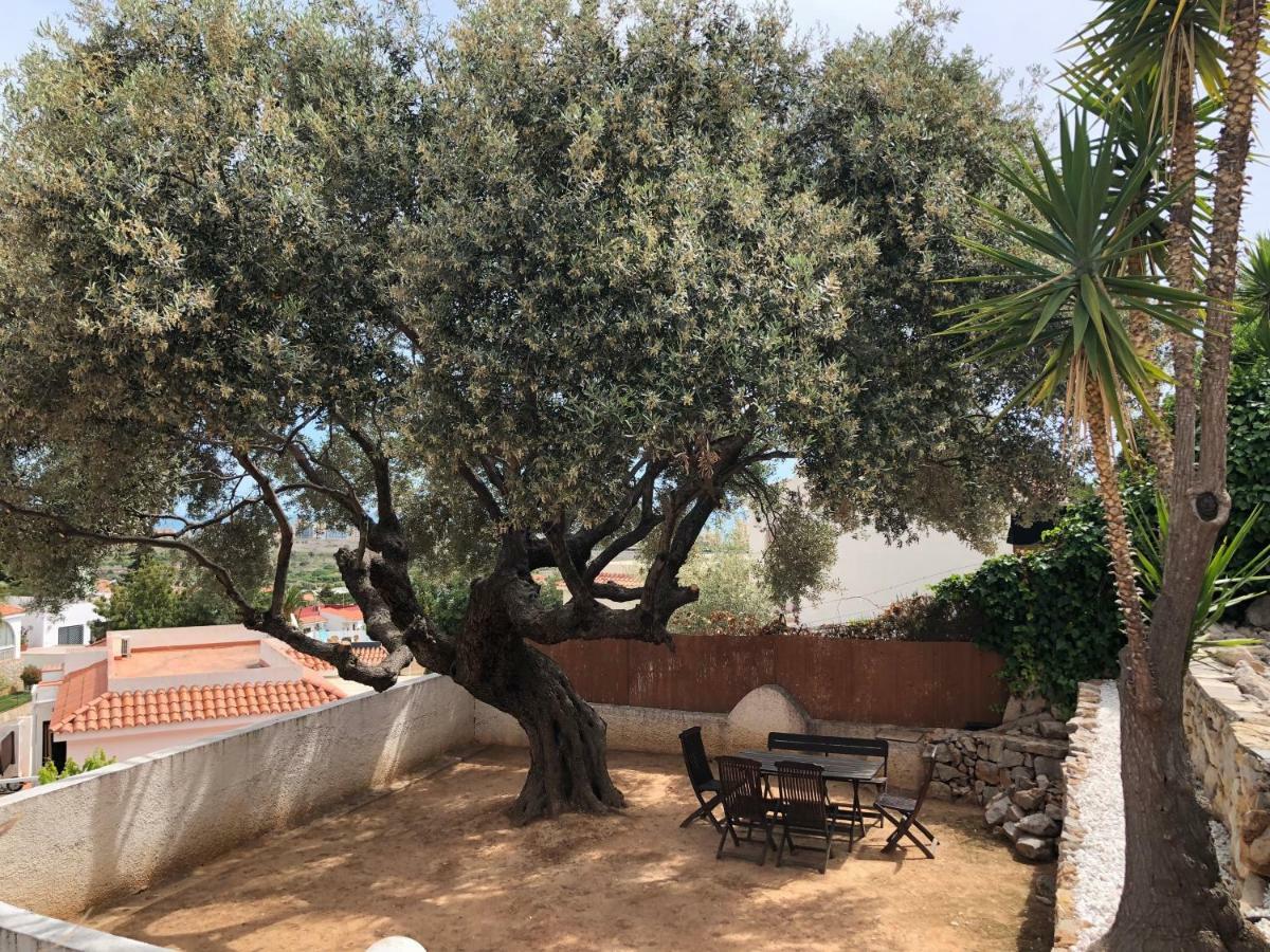 Los Palmitos Peñíscola Εξωτερικό φωτογραφία